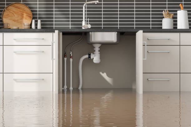 Best Water damage contractors near me  in East Cleveland, TN