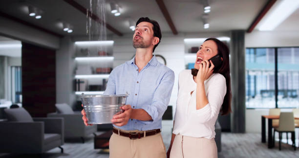Best Mold removal after water damage  in East Cleveland, TN