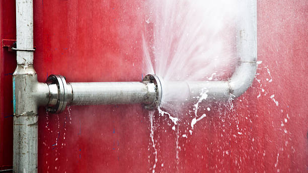 Best Water damage restoration services  in East Cleveland, TN